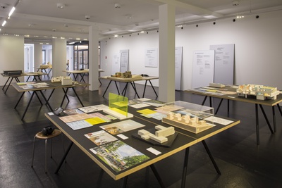 © Foto: Darko Todorovic